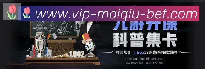 未来规划